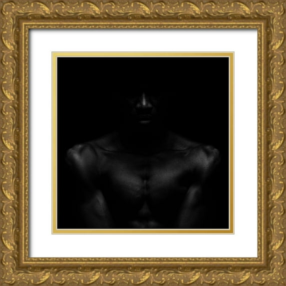 Odorizzi, Patrick 12x12 Gold Ornate Wood Framed with Double Matting Museum Art Print Titled - All The Shades Of Black