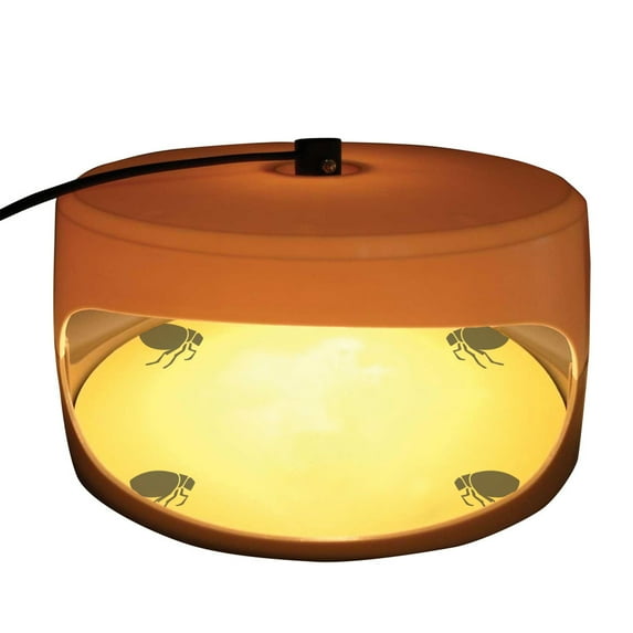 Odorless Non toxic Flea Trap Dome, Sticky Glue Discs, Child and Friendly, Plug in