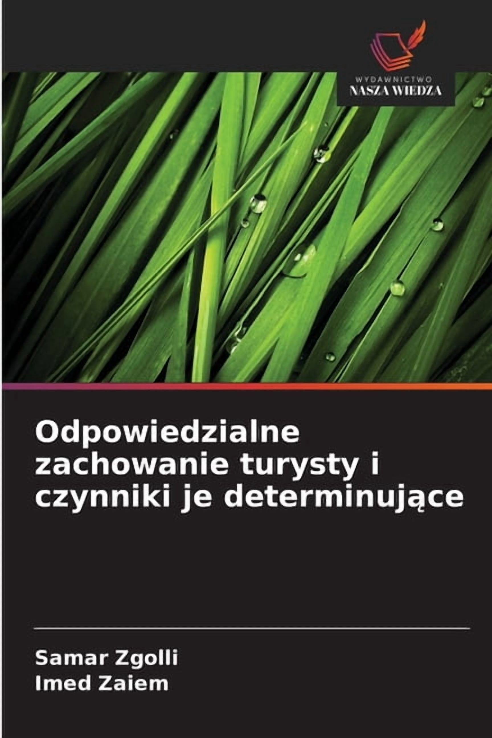 Odpowiedzialne zachowanie turysty i czynniki je determinujące, (Paperback)