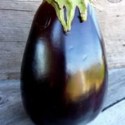 SUSTAINABLE SEED Odyssey F1 Hybrid Eggplant - 250 mg ~55 Seeds - Non-GMO, Hybrid F1 - Farm & Garden Vegetable Seeds - Egg Plant / Aubergine