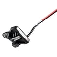 thumbnail image 1 of Odyssey Golf 2022 Ten 2-Ball Double Bend Hosel Mallet Putter, 34" - Right-Handed, 1 of 4