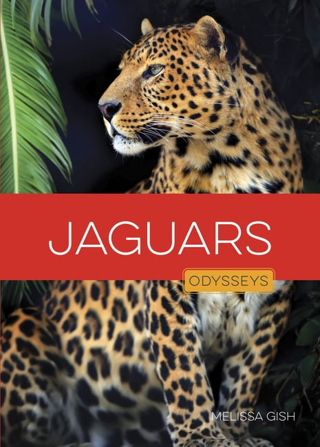 Odysseys in the Wild Jaguars, (Hardcover)