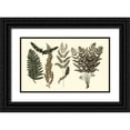 thumbnail image 1 of Oeder, Georg C. 14x10 Black Ornate Wood Framed with Double Matting Museum Art Print Titled - Fern Leaf Folio I, 1 of 4