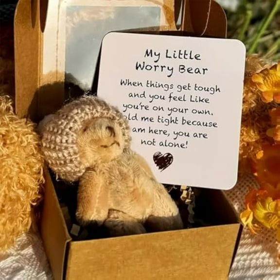 Nsxcdh Gift Pocket Worry Teddy Bear with Inspirational Card Mini Plush Encouragement Gift Box for Kids Adults Stress Relief Friendship Sentimental Keepsake