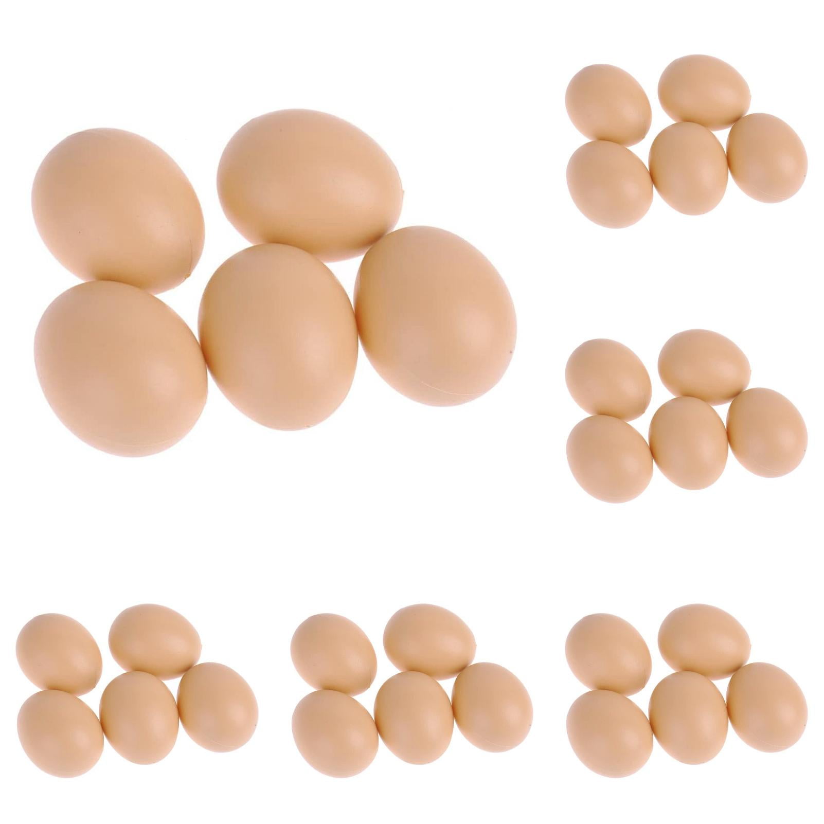 Oeufs 5 Poule Oeufs PCS Pondre Aide Mannequin Education Sensory for