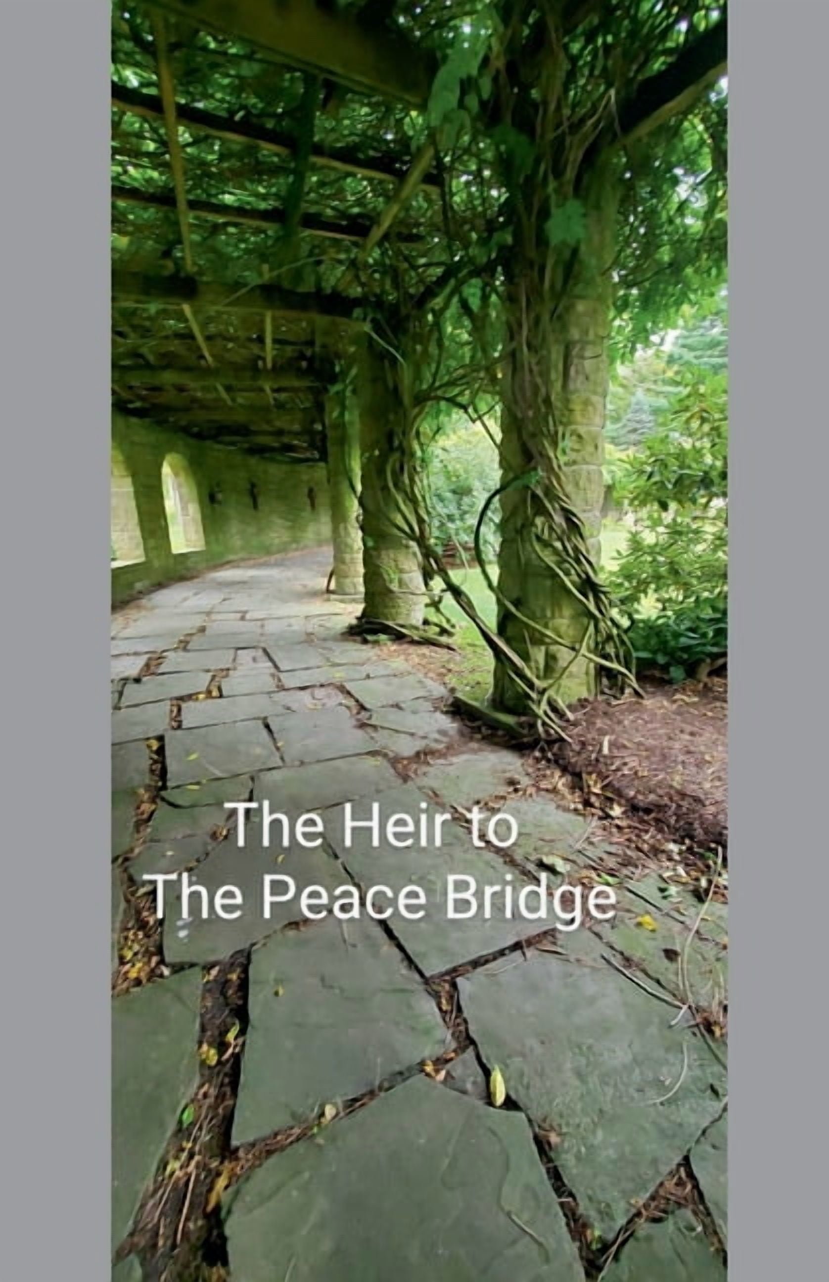 Of Bridges and Waters The Heir to the Peace Bridge, Book 2, (Paperback)