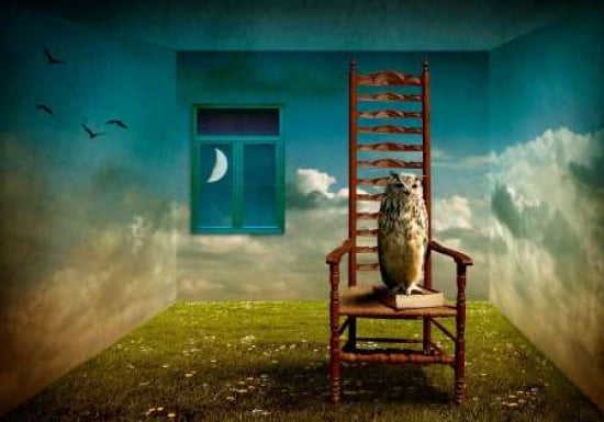 Of Course Mr Professor Canvas Art - Ben Goossens (20 x 28)