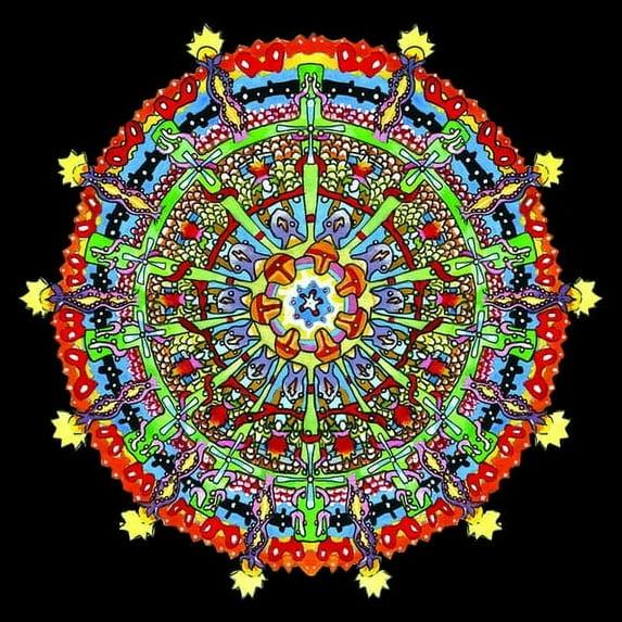 Of Montreal - Hissing Fauna, Are You The Destroyer? - Music & Performance - CD