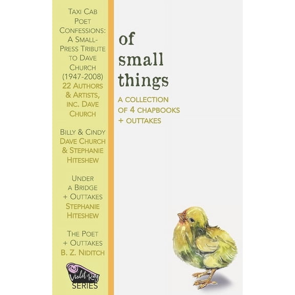 Of Small Things (Paperback) by Alternating Current, Stephanie Hiteshew, B Z Niditch