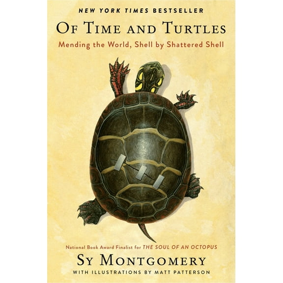 Of Time and Turtles: Mending the World, Shell by Shattered Shell, (Paperback)