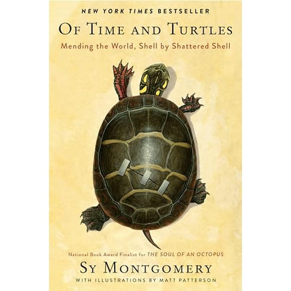 Pre-Owned Of Time and Turtles: Mending the World, Shell by Shattered ShellA Heartwarming Compassionate Portrait of Injured Turtles, Perfect for Nature Lovers.