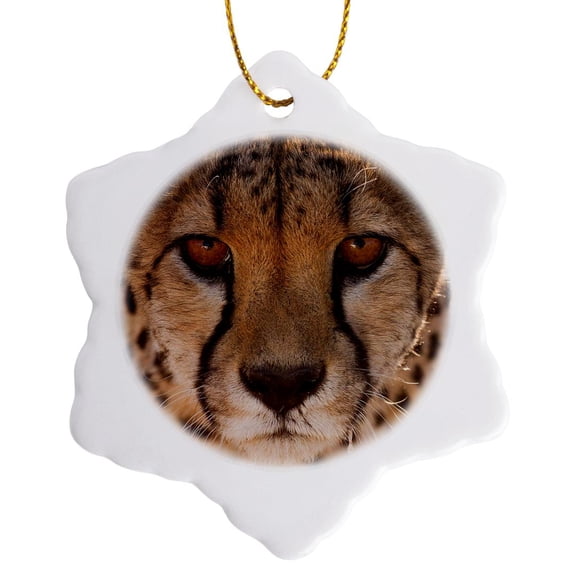 Off-Center Close-Up Of A Cheetah. Cheetah Conservation Fund, Namibia., 3 inch Snowflake Porcelain Ornament