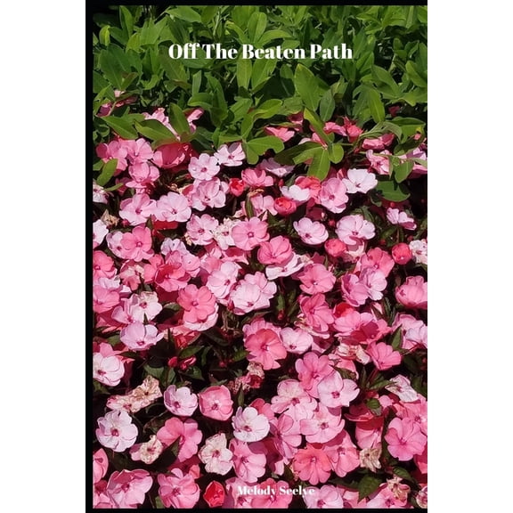 Off The Beaten Path: 4 year Blood Glucose Tracker, (Paperback)