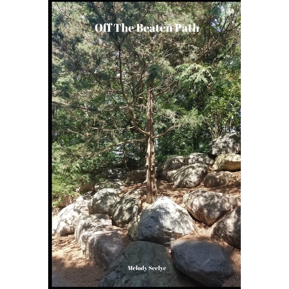 Off The Beaten Path: 4 year Blood Glucose Tracker, (Paperback)