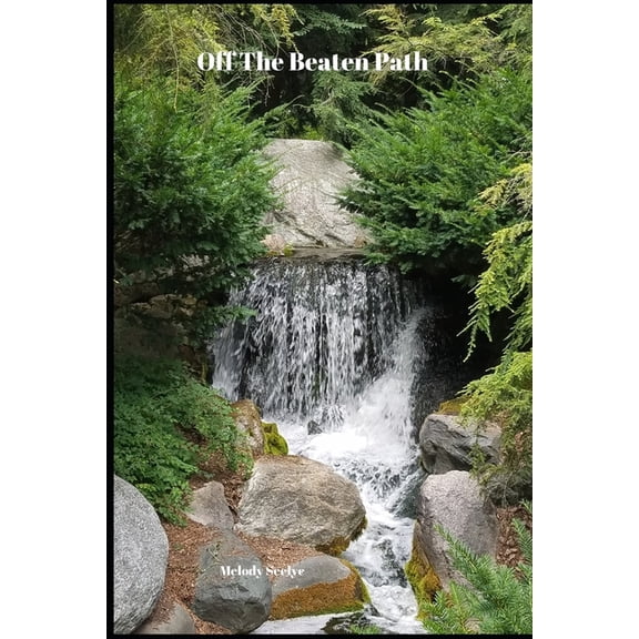 Off The Beaten Path: 4 year Blood Glucose Tracker, (Paperback)