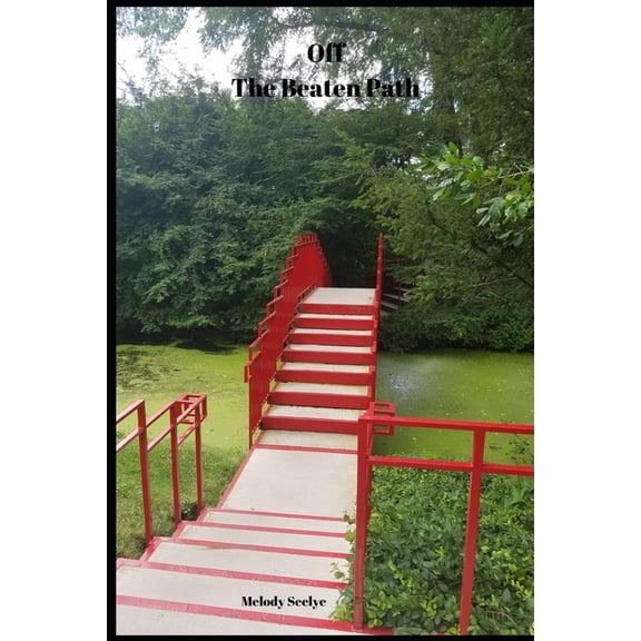 Off The Beaten Path: 4 year Blood Glucose Tracker, (Paperback)