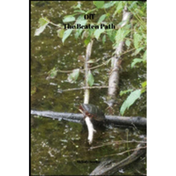 Off The Beaten Path : 4 year Blood Glucose Tracker (Paperback)