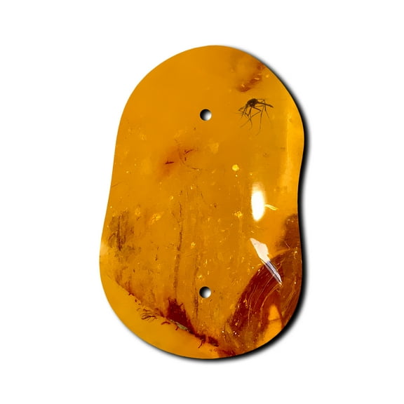 Off The Wall Plates - Amber Classic Decorative Acrylic Cover Single Blank Wallplate