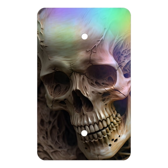 Off The Wall Plates - Skull Holographic Decorative Acrylic Cover Single Blank Wallplate