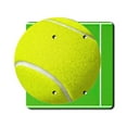 thumbnail image 1 of Off The Wall Plates - Tennis ball - Double Gang Blank Cover, 1 of 4