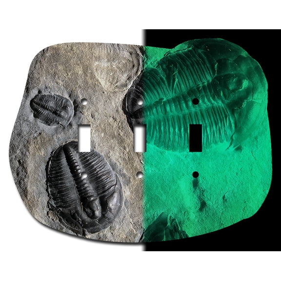 Off The Wall Plates - Trilobite Glow in the Dark Decorative Acrylic Cover Triple Light Switch Wallplate