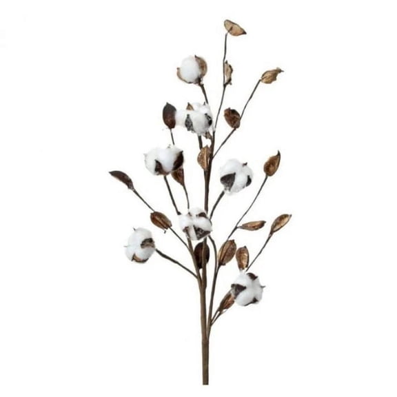 Off-White Cotton Ball and Brown Open Pod 21in Artificial Polysilk Faux Natural Fake Flower Stem for Craft Home Bouquet Arrangement Ceremony Wedding Arch Floral Wall Decor (Cream Brown, Set of 2)
