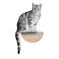 thumbnail image 1 of Offex Contemporary Round Lack Clear Wall Mounted Cat Shelves with Transparent Board, 1 piece, 1 of 7