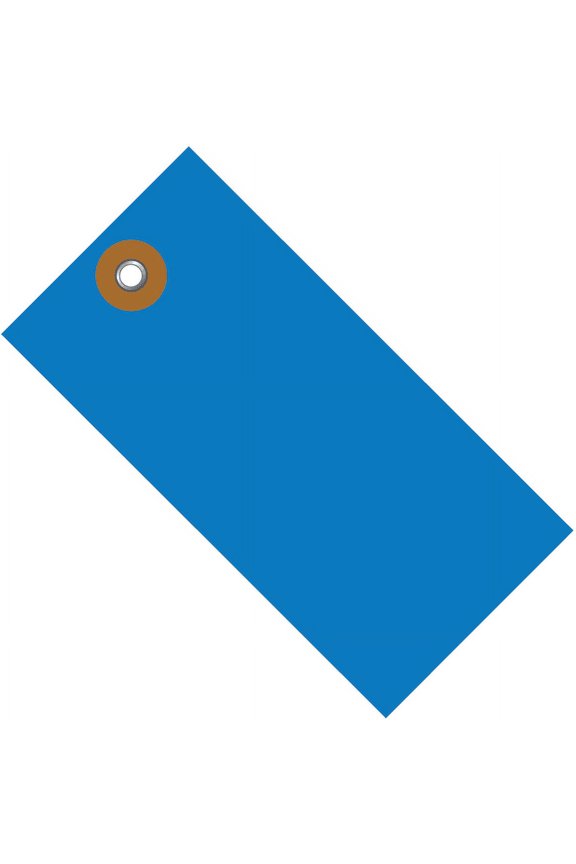 ® Brand Tyvek® Shipping Tags, 5 3/4" x 2 7/8", Blue, Case Of 100