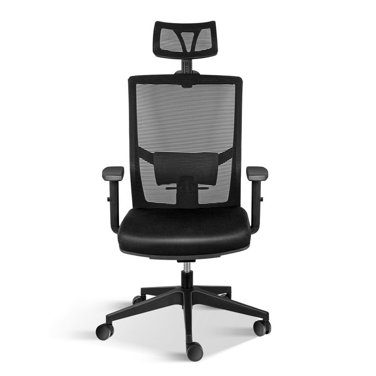 Office Ergonomic Mesh Computer Chair with Wheels & Arms & Lumbar Support,  02B, Black-Pro