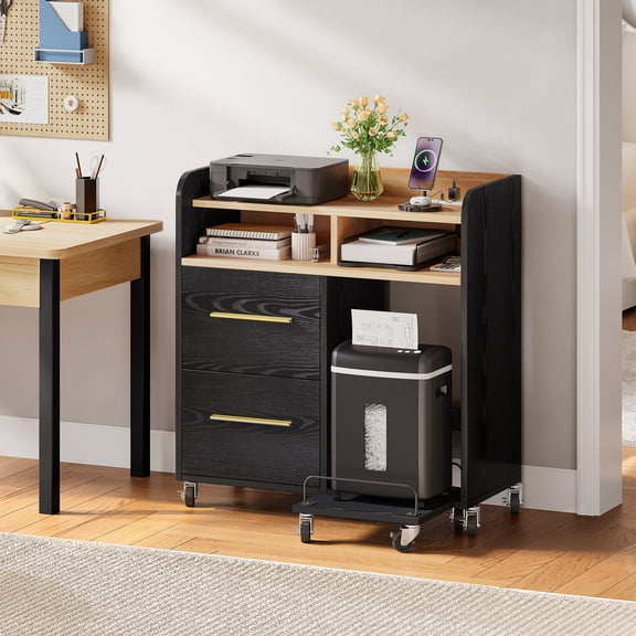 Office File Cabinet with Charging Station and Paper Shredder Stand, Printer Table Cabinet Rolling File Cabinet with 2 Drawers and Open Storage Shelves for Home Office,Black