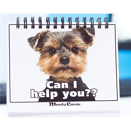 Office Gift for Dog Lovers - Moodycards! Make Everyone Laugh with These Adorable and Hilarious Dog Memes - Let The Dogs Tell Everyone How You Feel! A Terrific Office Gift! 25 Different Moods
