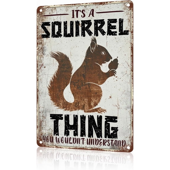 Office Home Metal Sign Wall Decor It's A Squirrels Thing You Wouldn't Understand Sign Humor Garage Wall Plaque Signs Animal Lovers Gift BedRoom Decor Office Decor 8x12 inch
