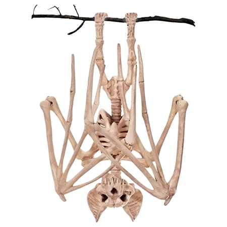 Official Crazybonez Faux Bat Skeleton