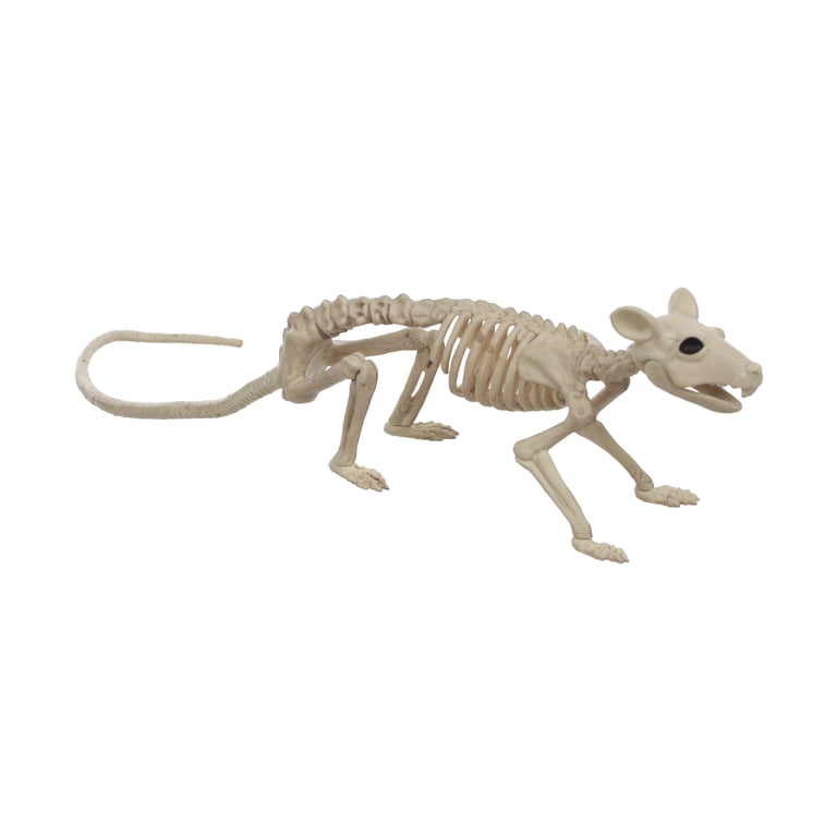 Seasons, Official Crazybonez Faux Rat Skeleton with Movable Jaw