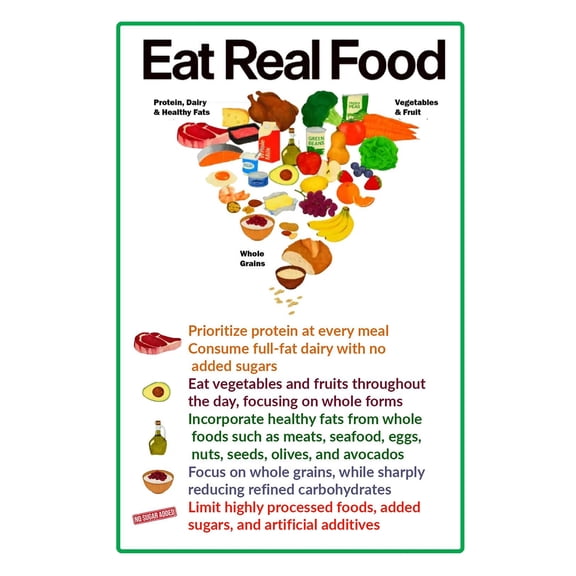 Official Food Educational Chart – 12x18 Inch Glossy Nutrition Poster for School Decor and Modern Diet Reference
