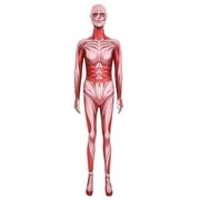 [Official Licensed] Attack on Titan Female Titan Costume Bodysuit for Halloween, L