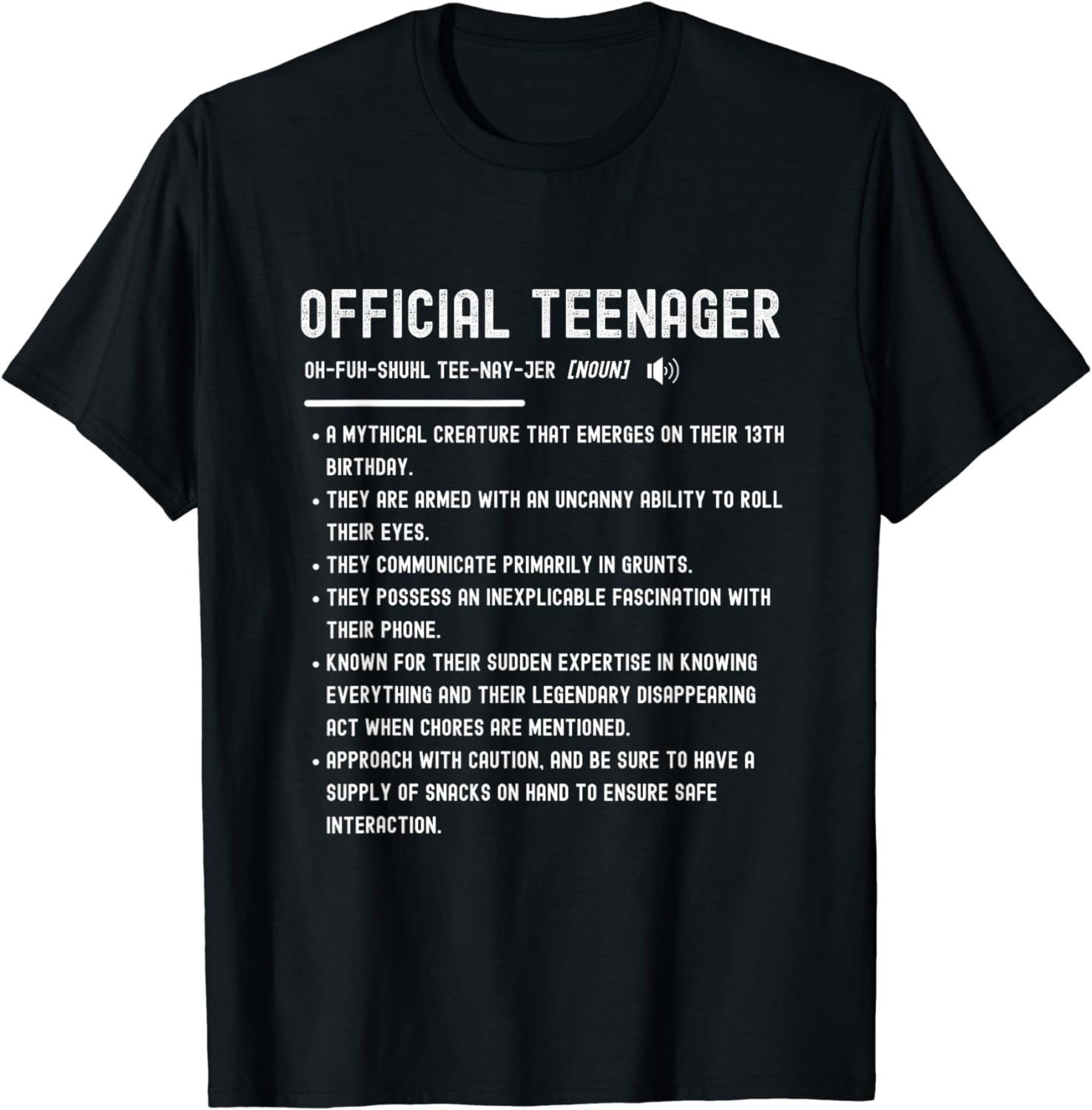 Official Teenager 13 Year Old Funny Definition 13th Birthday T-Shirt