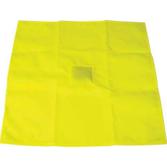 Official's Regulation Penalty Flag