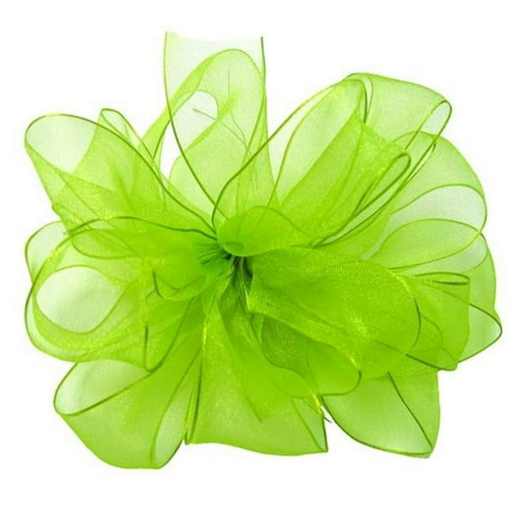Offray 514245 2. 5 inch Wired Edge Encore Ribbon - 25 Yards, Lime - No. 40