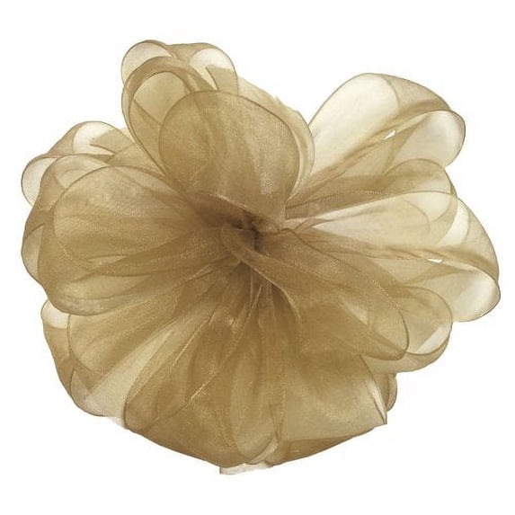 Offray Monofilament Edge Simply Sheer Asiana Craft Ribbon, 5/8-Inch Wide by 25-Yard Spool, Champagne