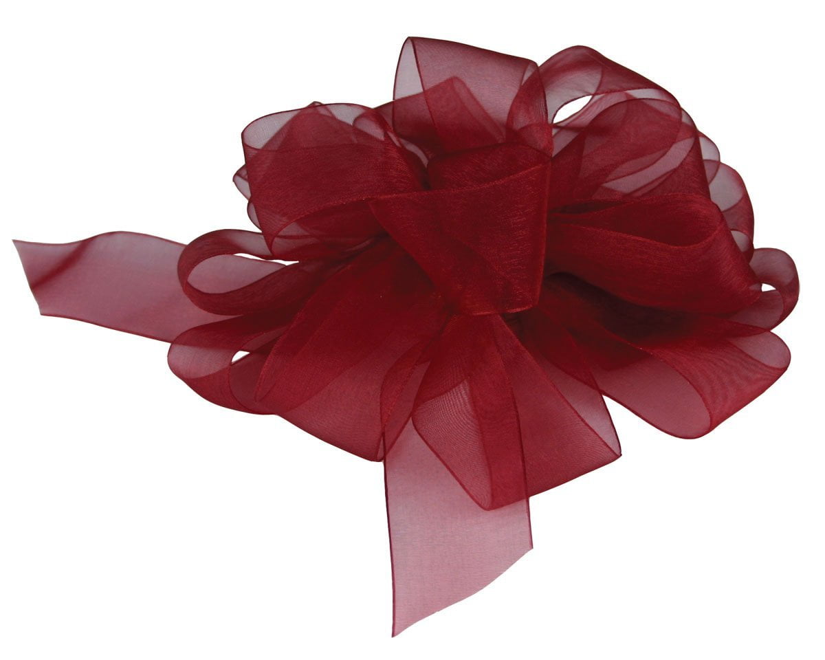 Offray Sheer Ribbon Offray Monofilament Edge Simply Sheer Asiana Craft Ribbon, 7/8-Inch ...