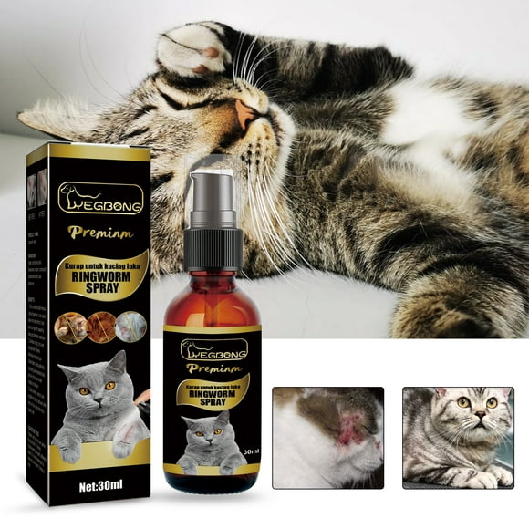 Ringworm Treatment Cats