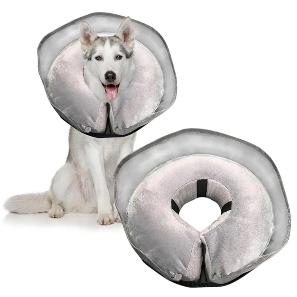 After Surgery Dog Cone Neuter Your Dog After Spay Alternatives To