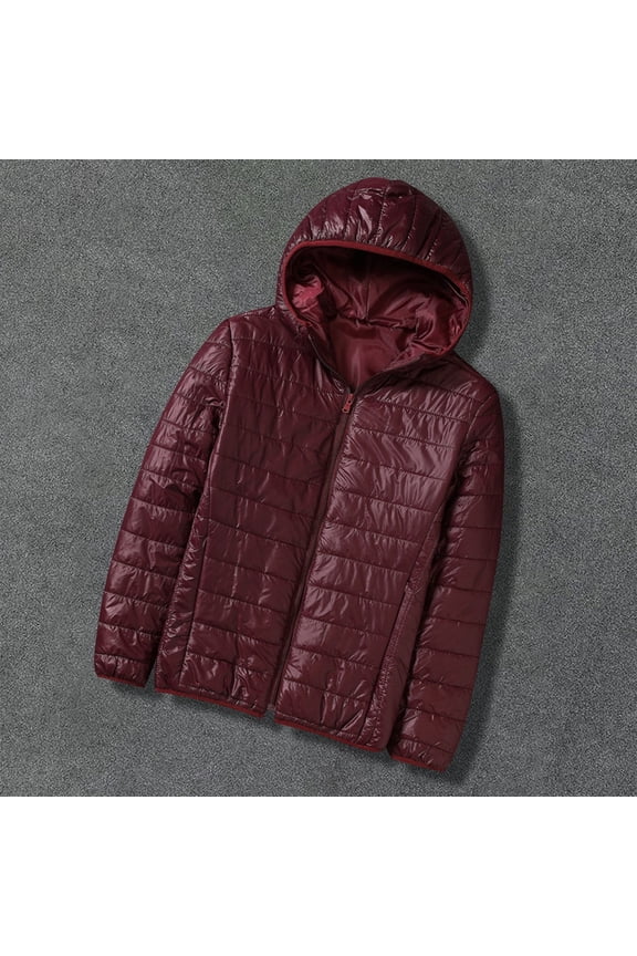 Men's Winter Hooded Down Jacket Zipper Cardigan Pocket Long Sleeve Padded Jacket Coat