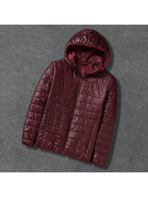Men's Winter Hooded Down Jacket Zipper Cardigan Pocket Long Sleeve Padded Jacket Coat