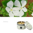 thumbnail image 1 of Oggfader Air Purifiers for Smoke Odors Romantic Scented Candles Purification Aromatherapy Natural Soy, 1 of 3