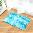 thumbnail image 1 of Oggfader Soft Rugs Anti Skid Area Rug Dining Room Home Bedroom Carpet Floor Light Blue 32in x 20in, 1 of 7