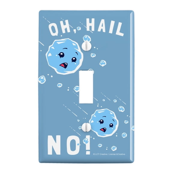 Oh Hail No Hell Funny Humor Plastic Wall Decor Toggle Light Switch Plate Cover