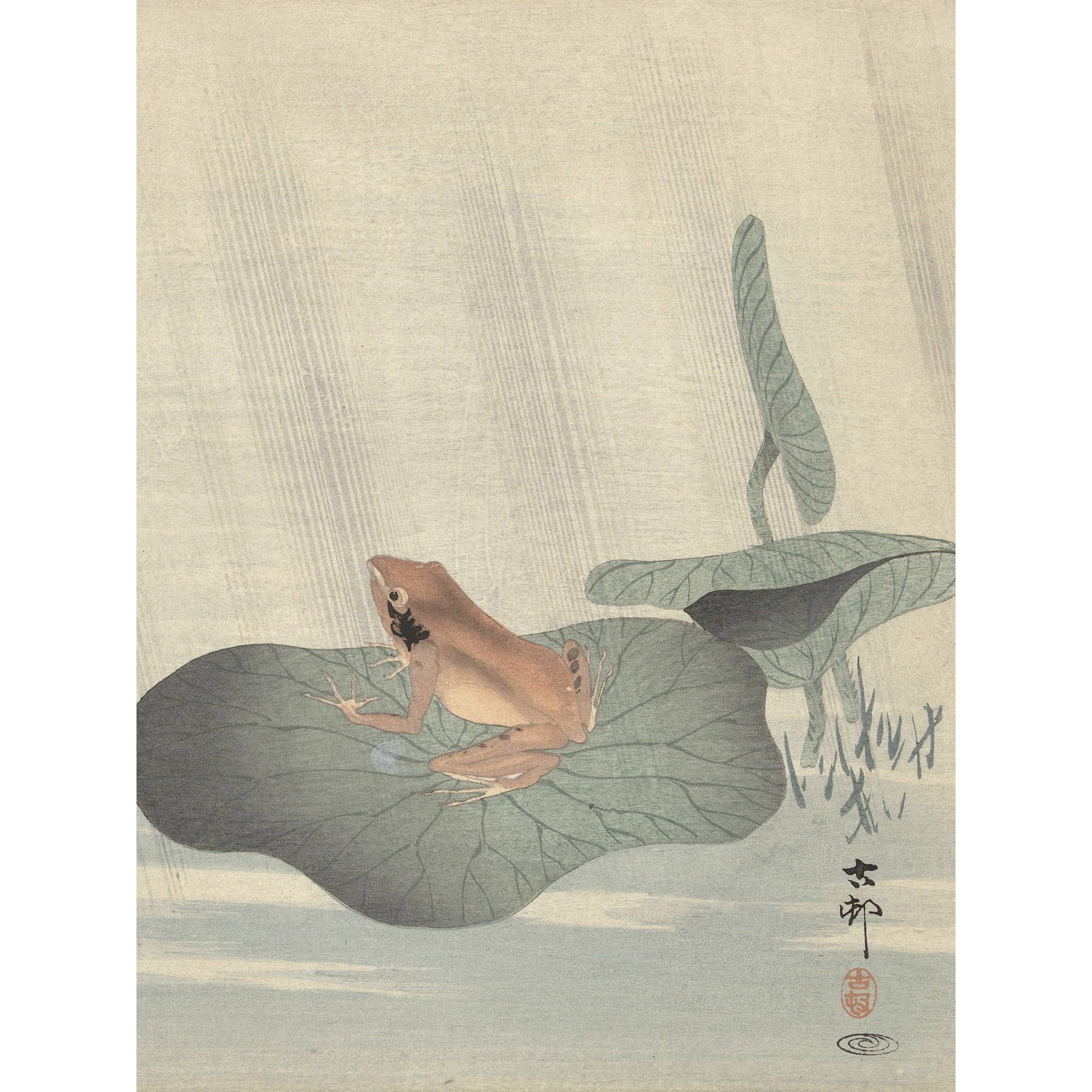 Frog Sumo Wrestling of the Frogs Ukiyo-e by Ohara Koson , Antique Animal Japanese Painting Canvas Fine Art Print Wall Art