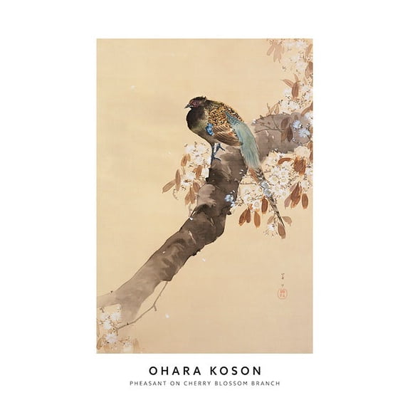 Ohara Koson - Pheasant On Cherry Blossom Branch Print Wall Art, Modern Wall Decor For Living Room Bedroom, 12x18 UNFRAMED